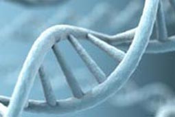 短信轰机轰炸app下载安卓手机